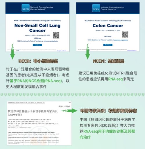 融二為一，精準(zhǔn)抗癌 燃石醫(yī)學(xué)DNA+RNA雙檢測(cè)賦能實(shí)體瘤患者——論文解讀肝癌血漿microRNA標(biāo)志物檢測(cè)報(bào)告系統(tǒng)