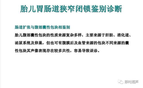 胎兒消化系統(tǒng)超聲檢查與肝癌血漿microRNA標(biāo)志物檢測(cè)報(bào)告系統(tǒng)的綜合應(yīng)用